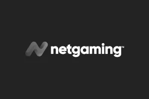 NetGaming logo